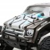 Automodelo Ruckus 1/10 Brushless ECX 03314