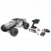 Automodelo Ruckus 1/10 Brushless ECX 03314